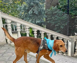 ������ ���� ���������� ������ - ���� 1 � ����������