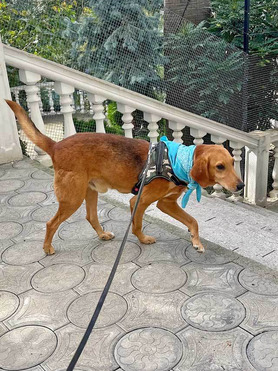 ������ ���� ���������� ������ - ���� 1 � ����������