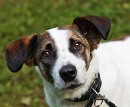 ������������� � ���������� ��������� � ����� ����! - ���� 1 � ����������