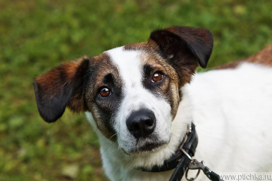 ������������� � ���������� ��������� � ����� ����! - ���� 1 � ����������