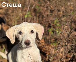 ������ �� ���������, ������� ��������� ���� �� ������ - ���� 1 � ����������