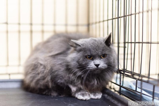 �������� ��������� �������� � ������ ����. - ���� 1 � ����������