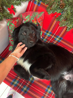 �����������c� c M������ - ���� 1 � ����������