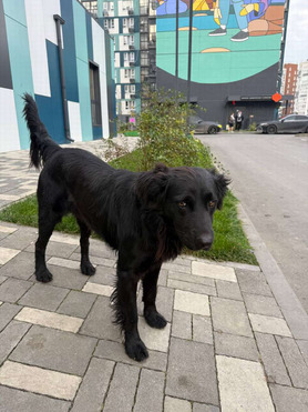 ������ ���� ���������� ������ - ���� 1 � ����������