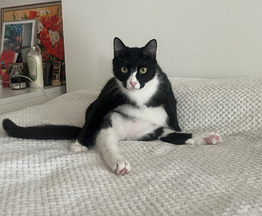 ������ � �������� ����� ������ ���� ���! - ���� 1 � ����������