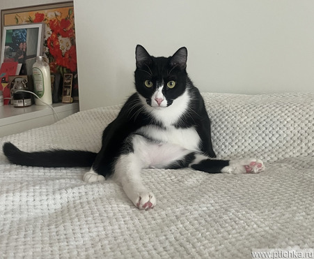 ������ � �������� ����� ������ ���� ���! - ���� 1 � ����������