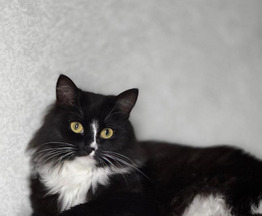 ��������� ����� ���� ���������� ������ - ���� 1 � ����������