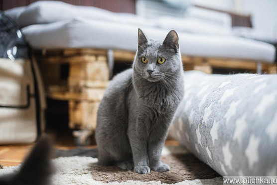 ��������� ���� � ������ ����. - ���� 1 � ����������