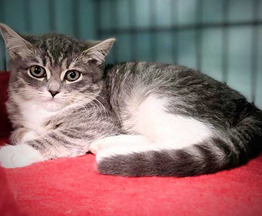 ������ � ������ ����! - ���� 1 � ����������