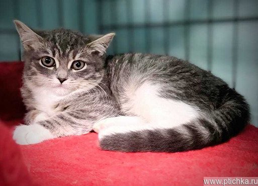 ������ � ������ ����! - ���� 1 � ����������