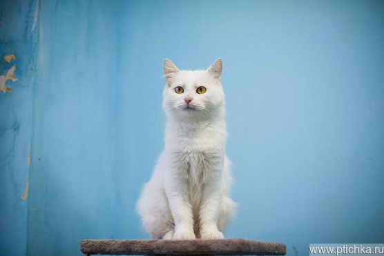 ����� � �������� ����� ���� ��� - ���� 1 � ����������