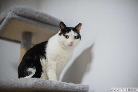 �������� ����� ���� ���� �����. - ���� 1 � ����������