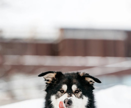      -  1  