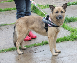 ������, �������� ������ ���� ��� ����� ���� ������ ������� ��������! - ���� 1 � ����������