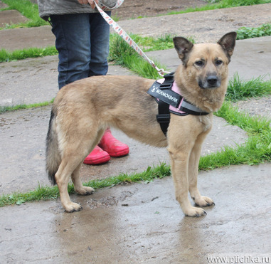 ������, �������� ������ ���� ��� ����� ���� ������ ������� ��������! - ���� 1 � ����������