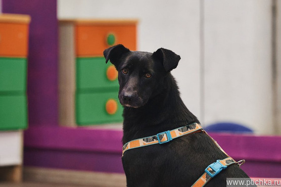 ��������: ��, ��� ������ ������ �������. - ���� 1 � ����������