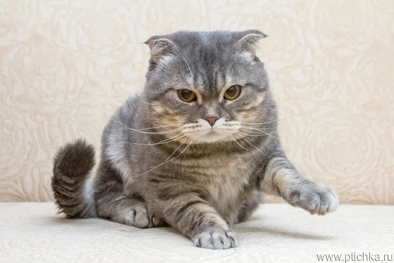 ���� ��� �������� ����� - ���� 1 � ����������