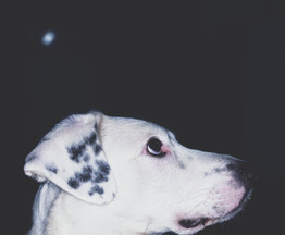 ������ ���� ���������� ������ - ���� 1 � ����������