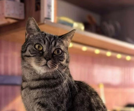 ������ � ��������� ��������� ���� ���! - ���� 1 � ����������