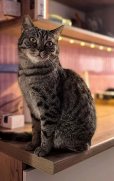 ������ � ��������� ��������� ���� ���! - ���� 1 � ����������