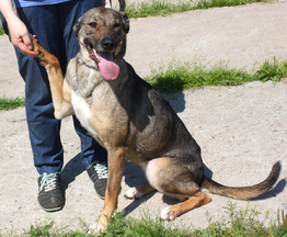 ��������, ������, ��������������, ��������� ������ ����� ���� ��� � ����� - ���� 1 � ����������