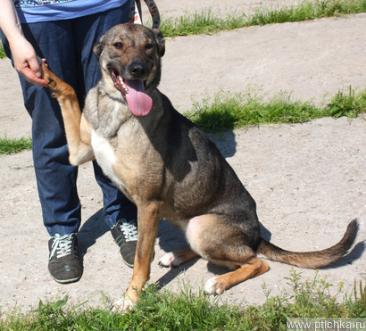 ��������, ������, ��������������, ��������� ������ ����� ���� ��� � ����� - ���� 1 � ����������