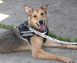 ����������� ���������� ����� ���� ������ ����� ��� ���� ��������� �����! - ���� 1 � ����������