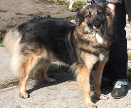 ���������, ��������, ������������ ���� ����� ���� ����- ������ �������! - ���� 1 � ����������