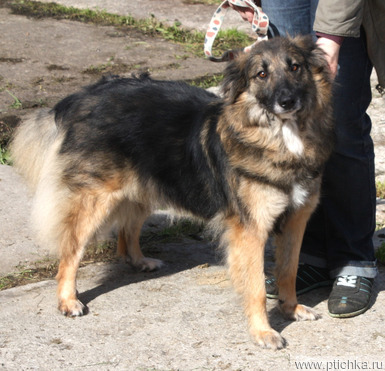 ���������, ��������, ������������ ���� ����� ���� ����- ������ �������! - ���� 1 � ����������