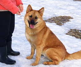 ��� ���� ���������� ������ - ���� 1 � ����������