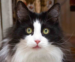 ��������� ����� ���� ���������� ������ - ���� 1 � ����������