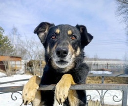 ������ ���� ���������� ������ - ���� 1 � ����������