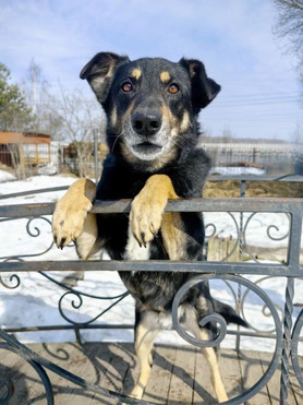 ������ ���� ���������� ������ - ���� 1 � ����������