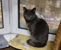 ����� ���� ���������� ������ - ���� 1 � ����������