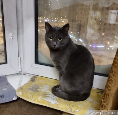 ����� ���� ���������� ������ - ���� 1 � ����������