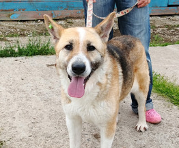 ����� ���������� �������� ���� ���� ������ �������� - ���� 1 � ����������