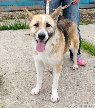 ����� ���������� �������� ���� ���� ������ �������� - ���� 1 � ����������