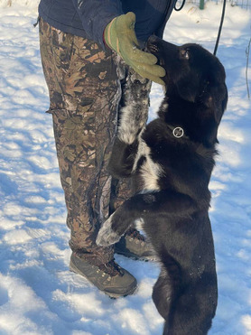 ��� �������������� �������-������� � ��� - ���� 1 � ����������