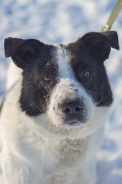 ������������� ����� ��� � ��� - ���� 1 � ����������