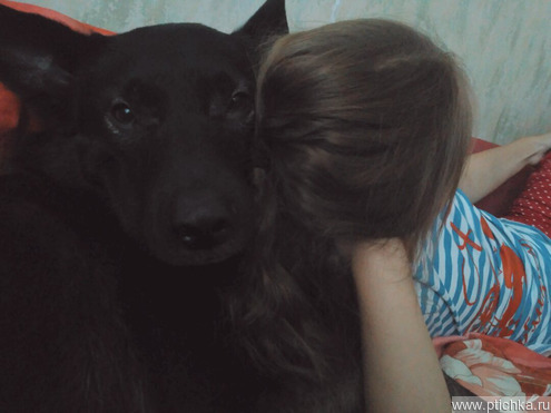 ����� ����� ��� ���� - ���� 1 � ����������