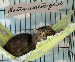 ���� ��� � ���� ����� �������� �������-��������� - ���� 1 � ����������