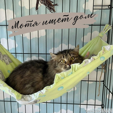 ���� ��� � ���� ����� �������� �������-��������� - ���� 1 � ����������