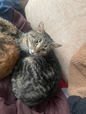 ��� ��� ���� ��� - ���� 1 � ����������