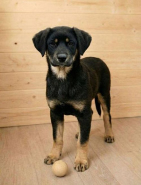 ������ ���� ���������� ������ - ���� 1 � ����������