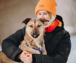 ������ ���� ���������� ������ - ���� 1 � ����������