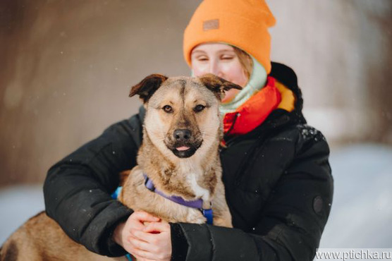 ������ ���� ���������� ������ - ���� 1 � ����������