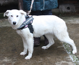 �������� , ����������� ������� ��� ���� ���� ������ �����! - ���� 1 � ����������