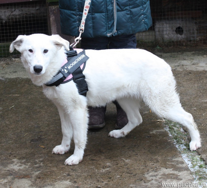 �������� , ����������� ������� ��� ���� ���� ������ �����! - ���� 1 � ����������