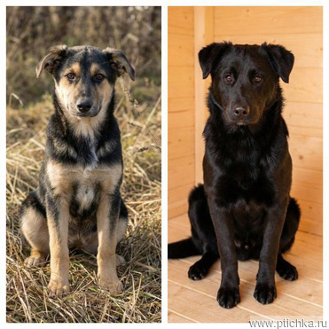 ������ ���� ���������� ������ - ���� 1 � ����������