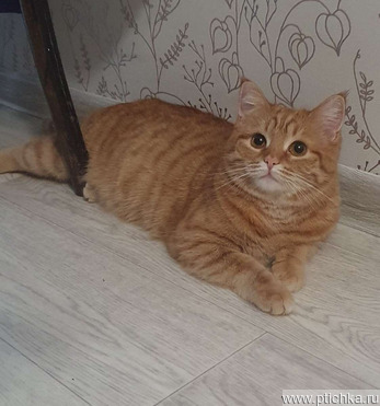 ����� ���� ���������� ������ - ���� 1 � ����������